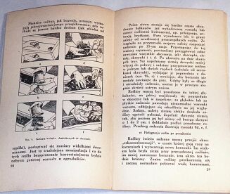 PRZYREMBLANKA - KWIATY NA CODZIEŃ. HODOWLA KWIATÓW W DOMU - 3