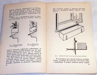 PRZYREMBLANKA - KWIATY NA CODZIEŃ. HODOWLA KWIATÓW W DOMU - 4