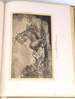 ŁOZIŃSKI - ŻYCIE POLSKIE W DAWNYCH WIEKACH oprawa SEMKOWICZ - 14