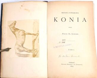 CZAPSKI - HISTORYA POWSZECHNA KONIA t.1-3, wyd. 1874r. półskórek - 3