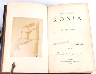 CZAPSKI - HISTORYA POWSZECHNA KONIA t.1-3, wyd. 1874r. półskórek - 4