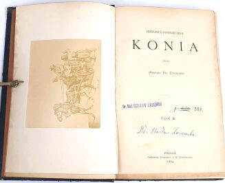 CZAPSKI - HISTORYA POWSZECHNA KONIA t.1-3, wyd. 1874r. półskórek - 5