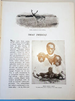 CORNISCH- ŚWIAT ZWIERZĄT Tom I-II setki ilustracji OPRAWA PUGET  - 5