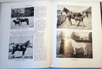 CORNISCH- ŚWIAT ZWIERZĄT Tom I-II setki ilustracji OPRAWA PUGET  - 7