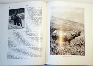 CORNISCH- ŚWIAT ZWIERZĄT Tom I-II setki ilustracji OPRAWA PUGET  - 8