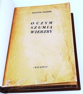 GRAHAME - O CZYM SZUMIĄ WIERZBY Ilustracje Ernesta H. Sheparta - 6
