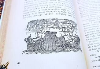 GRAHAME - O CZYM SZUMIĄ WIERZBY Ilustracje Ernesta H. Sheparta - 9