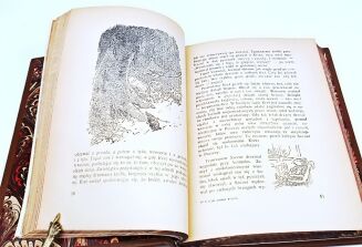 GRAHAME - O CZYM SZUMIĄ WIERZBY Ilustracje Ernesta H. Sheparta - 10