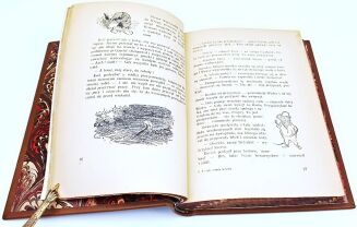 GRAHAME - O CZYM SZUMIĄ WIERZBY Ilustracje Ernesta H. Sheparta - 12