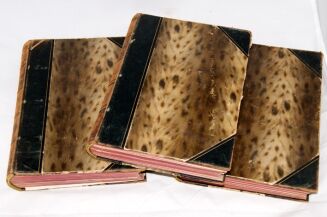 CZECHOWSKI - HISTORYA XIX STULECIA Tom I-III wyd. 1901r. ilustracje PÓŁSKÓREK - 27