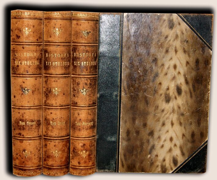 CZECHOWSKI - HISTORYA XIX STULECIA Tom I-III wyd. 1901r. ilustracje PÓŁSKÓREK