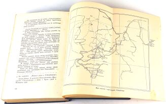 HIŃCZA - PIERWSZY ŻOŁNIERZ ODRODZONEJ POLSKI wyd. 1932r. EFEKTOWNA OPRAWA WYDAWNICZA ilustracje, mapy - 8