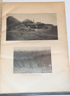 PĄCZEWSKI - PRZEWODNIK PRZEMYSŁU I HANDLU POLSKIEGO ROCZNIK III 1929 - 5