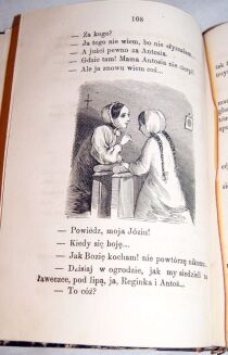 MINISZEWSKI-CIERNIE KWITNĄCE t.1-2 varsavianum  - 5