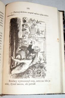 MINISZEWSKI-CIERNIE KWITNĄCE t.1-2 varsavianum  - 6