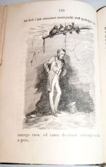 MINISZEWSKI-CIERNIE KWITNĄCE t.1-2 varsavianum  - 7