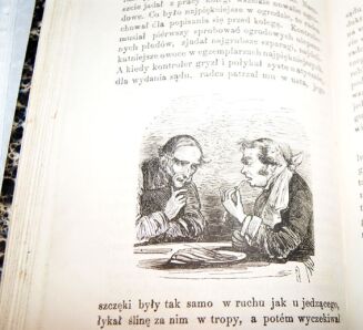 MINISZEWSKI-CIERNIE KWITNĄCE t.1-2 varsavianum  - 8