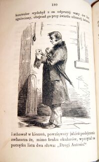 MINISZEWSKI-CIERNIE KWITNĄCE t.1-2 varsavianum  - 10