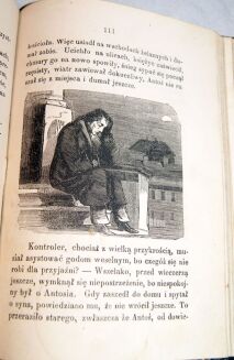 MINISZEWSKI-CIERNIE KWITNĄCE t.1-2 varsavianum  - 14