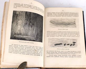 DZIEKOŃSKI- DZIWY ŚWIATA PIERWOTNEGO czyli KOLEBKA WSZECHŚWIATA wyd. 1872r. 268 drzeworytów - 5