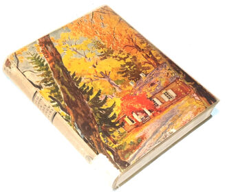 ŁOPALEWSKI- MIĘDZY NIEMNEM A DŹWINĄ z serii CUDA POLSKI  - 2