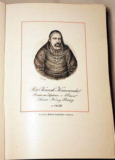 CZERNECKI- MAŁY KRÓL NA RUSI I JEGO STOLICA KRYSTYNOPOL - O Potockich- oprawa wydawnicza - 9