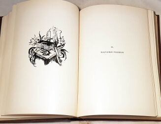 CZERNECKI- MAŁY KRÓL NA RUSI I JEGO STOLICA KRYSTYNOPOL - O Potockich- oprawa wydawnicza - 6