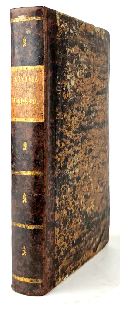 [PIJAŃSTWO, ŻYDZI, KONIEC ŚWIATA] WESTERMAYER - KAZANIA DO LUDU WIEJSKIEGO R. 2, T. 1–2 [współoprawne] wyd. 1859