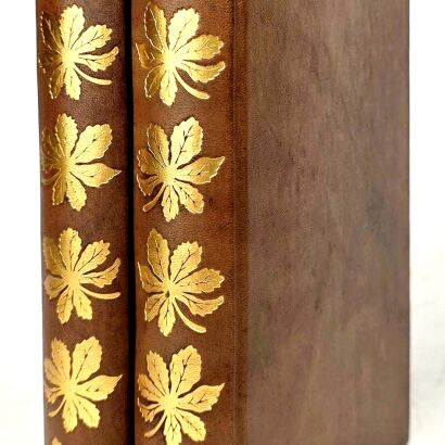 MANN- BUDDENBROOKOWIE t.1-2 (komplet) wyd.1 z 1931r.