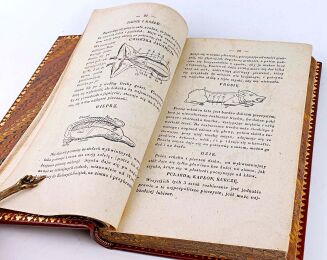 NOWA KUCHNIA WARSZAWSKA wyd. 1838 - 11