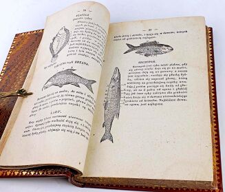 NOWA KUCHNIA WARSZAWSKA wyd. 1838 - 12