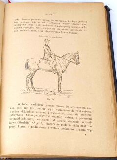 STIPAL- NAUKA JAZDY KONNEJ I TRESURY KONIA wyd. 1896 - 5