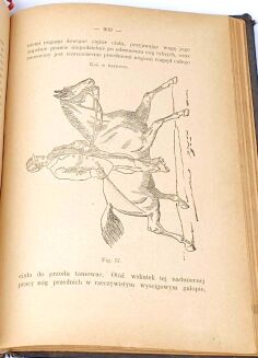 STIPAL- NAUKA JAZDY KONNEJ I TRESURY KONIA wyd. 1896 - 6