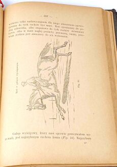 STIPAL- NAUKA JAZDY KONNEJ I TRESURY KONIA wyd. 1896 - 9
