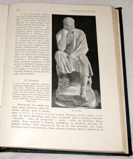 WIELKA LITERATURA POWSZECHNA Tom I-IVI [w 7 wol.] komplet OPRAWA ilustracje - 13