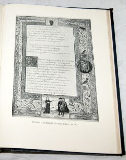 WIELKA LITERATURA POWSZECHNA Tom I-IVI [w 7 wol.] komplet OPRAWA ilustracje - 14