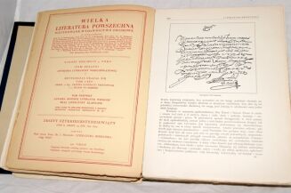 WIELKA LITERATURA POWSZECHNA Tom I-IVI [w 7 wol.] komplet OPRAWA ilustracje - 16