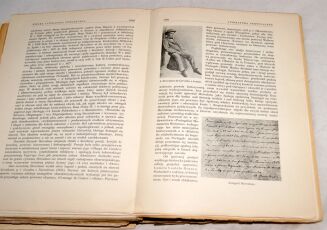 WIELKA LITERATURA POWSZECHNA Tom I-IVI [w 7 wol.] komplet OPRAWA ilustracje - 17