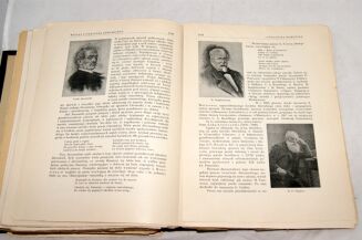 WIELKA LITERATURA POWSZECHNA Tom I-IVI [w 7 wol.] komplet OPRAWA ilustracje - 19