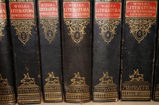 WIELKA LITERATURA POWSZECHNA Tom I-IVI [w 7 wol.] komplet OPRAWA ilustracje - 3