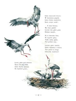 KONOPNICKA- NOWE LATKO wyd. 1909 - 4