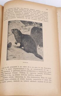 KRAWCZYŃSKI- ŁOWIECTWO Przewodnik dla leśników zawodowych i amatorów myśliwych 1924 - 4