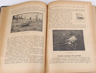 KRAWCZYŃSKI- ŁOWIECTWO Przewodnik dla leśników zawodowych i amatorów myśliwych 1924 - 5