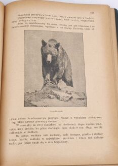 KRAWCZYŃSKI- ŁOWIECTWO Przewodnik dla leśników zawodowych i amatorów myśliwych 1924 - 7