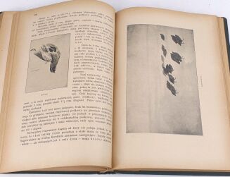 KRAWCZYŃSKI- ŁOWIECTWO Przewodnik dla leśników zawodowych i amatorów myśliwych 1924 - 11