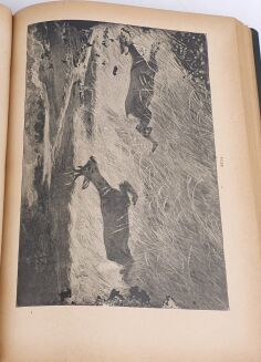 KRAWCZYŃSKI- ŁOWIECTWO Przewodnik dla leśników zawodowych i amatorów myśliwych 1924 - 14