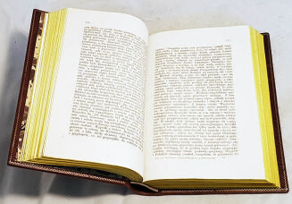 PANOWANIE HENRYKA WALEZYUSZA I STEFANA BATOREGO wyd.1861r.  - 5