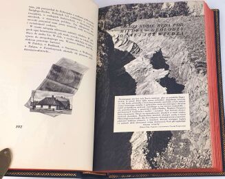 WAŃKOWICZ- SZTAFETA Książka o polskim pochodzie gospodarczym ORYGINAŁ 1939r. ilustracje OPRAWA - 8