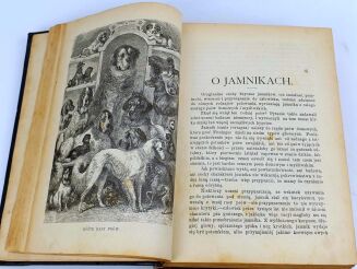 KALENDARZ MYŚLIWSKI ILUSTROWANY NA ROK 1893[-1897] [5 kalendarzy w 1 wol.]. - 10
