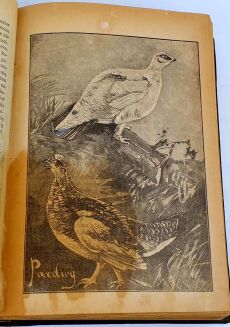 KALENDARZ MYŚLIWSKI ILUSTROWANY NA ROK 1893[-1897] [5 kalendarzy w 1 wol.]. - 26